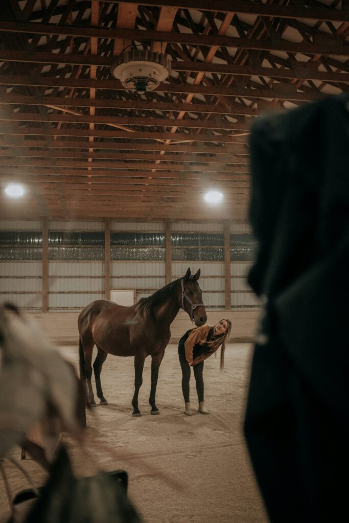 horse in barn