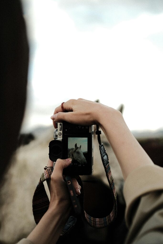 Close-up of hands holding a camera capturing a horse with blurred background.